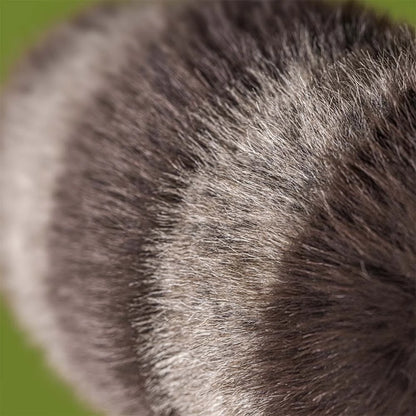 Trixiwoo Raccoon - US 5952